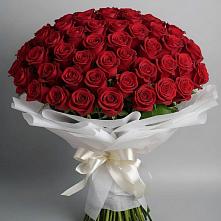 Букет 101 Красная роза Блэк Мэджик в Ачикулаке
