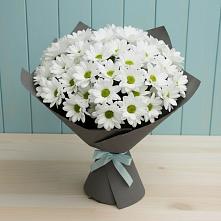 Букет цветов из:  Хризантемы #REPLACE_PRED# Ачикулаке