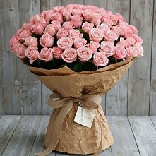 Букет 151 Роза Роуз #REPLACE_PRED# Ачикулаке