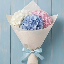 Букет цветов из:  Гортензия в Ачикулаке
