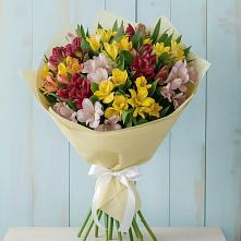 Букет цветов из:  Альстромерии в Ачикулаке