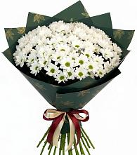 Букет цветов из:  Хризантемы в Ачикулаке