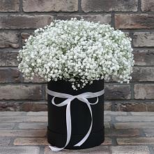 Цветочная композиция из Гипсофила в шляпной коробке в Ачикулаке