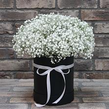 Цветочная композиция из Гипсофила в шляпной коробке в Ачикулаке
