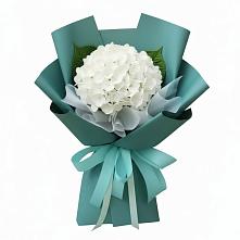 Букет цветов из:  Гортензия в Ачикулаке